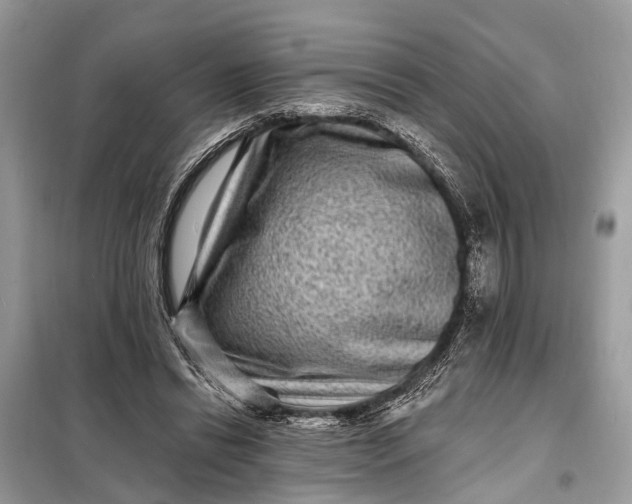 X0000098200446200805081115