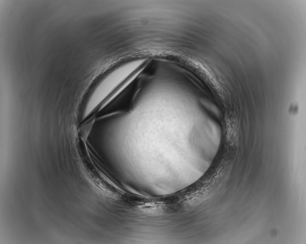 X0000098200447200805081115