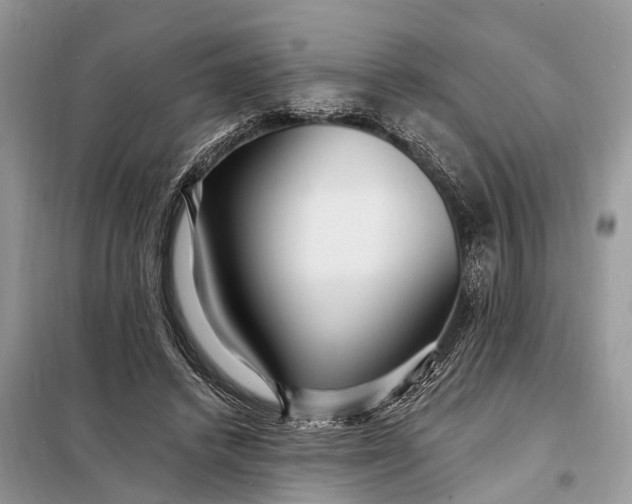 X0000098200448200805081115