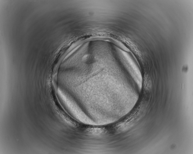 X0000098200449200805081115