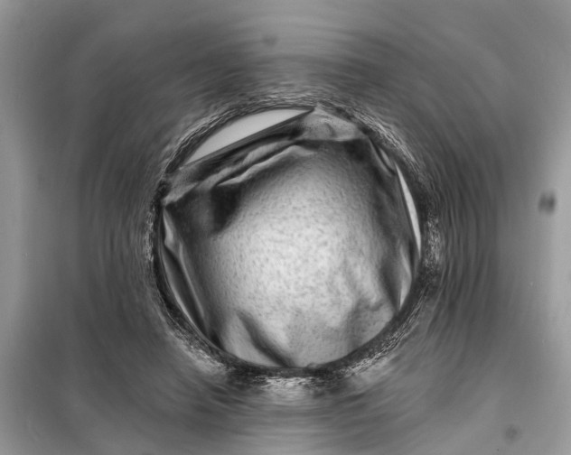 X0000098200450200805081115