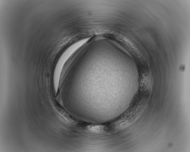 X0000098200452200805081115