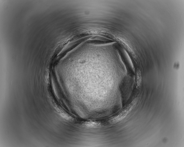 X0000098200453200805081115