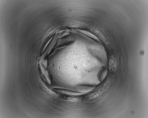 X0000098200454200805081115