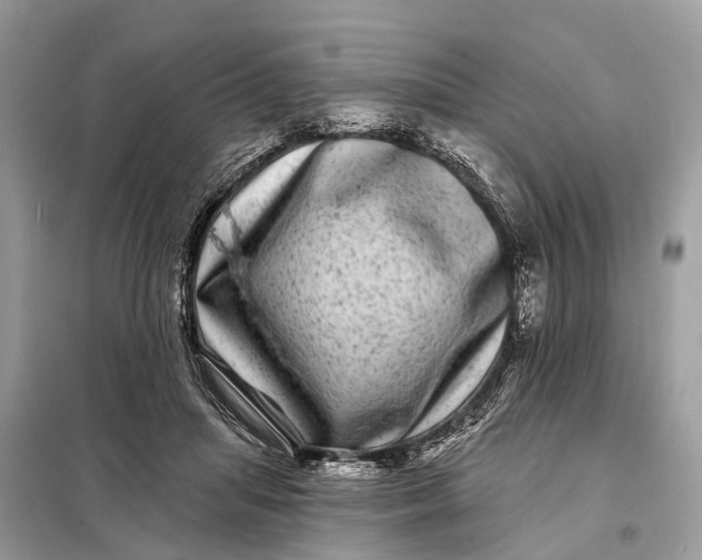X0000098200455200805081115