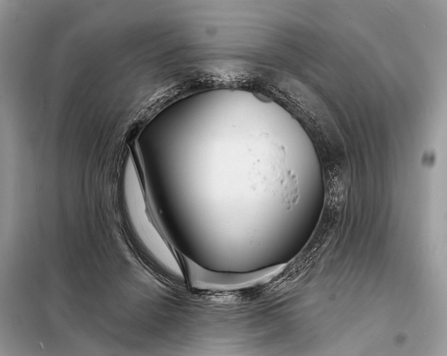 X0000098200456200805081115