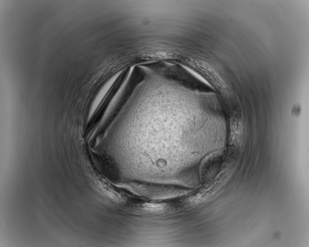 X0000098200457200805081115