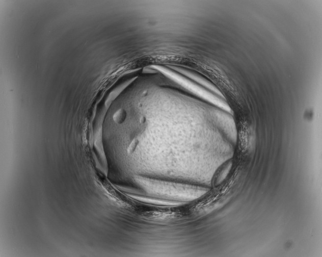 X0000098200458200805081115