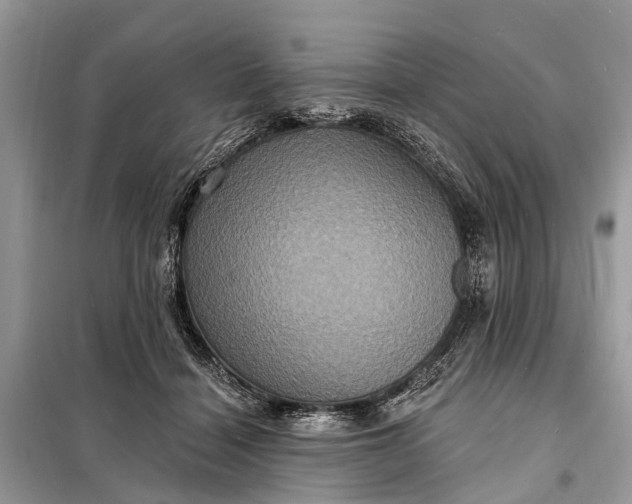 X0000098200460200805081115