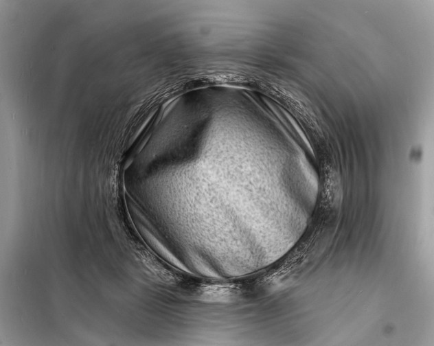 X0000098200461200805081115