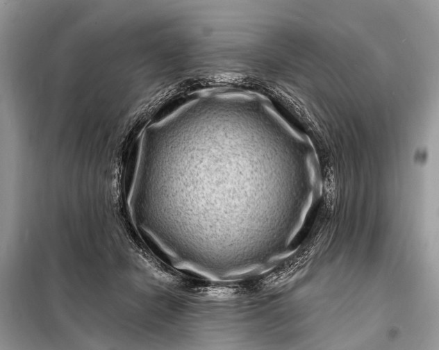 X0000098200462200805081115