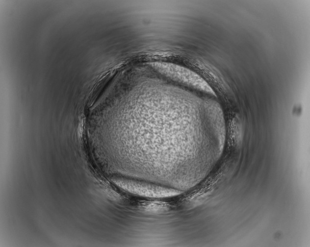 X0000098200463200805081115
