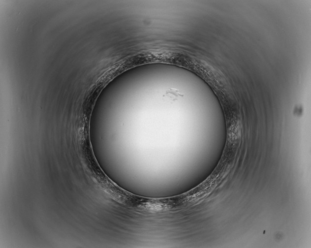 X0000098200464200805081115