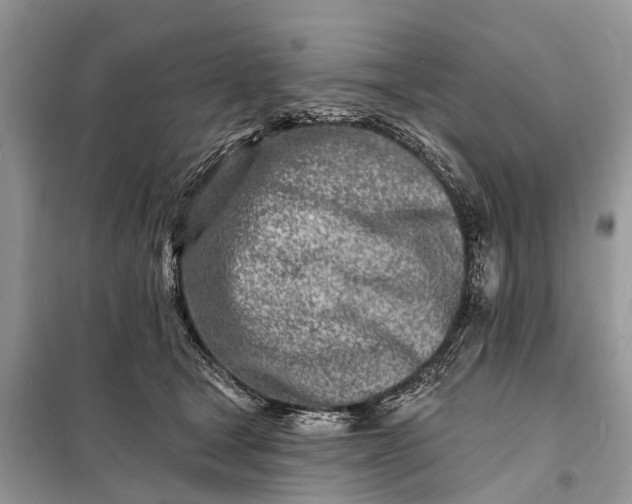 X0000098200465200805081115