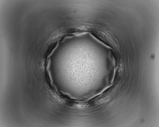 X0000098200466200805081115