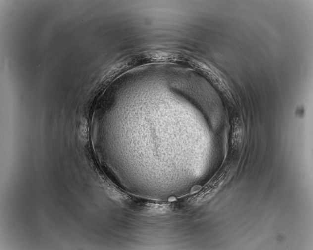 X0000098200469200805081115