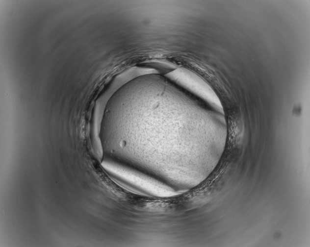 X0000098200470200805081115