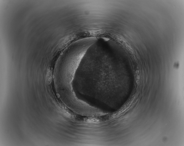 X0000098200471200805081115