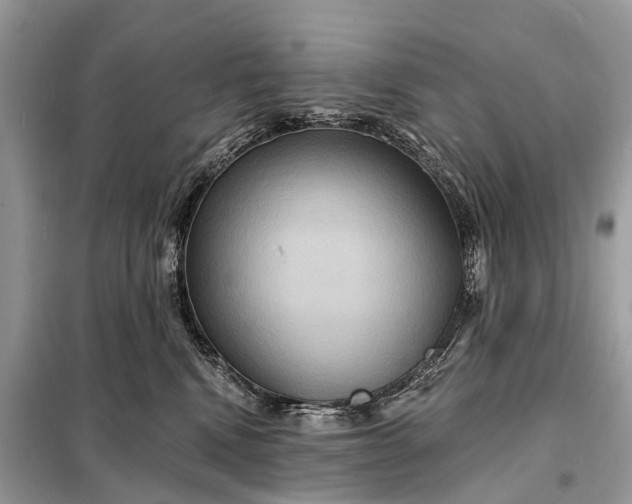 X0000098200472200805081115