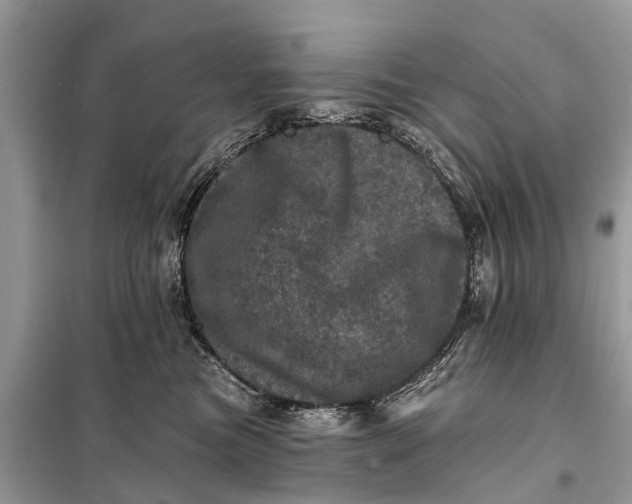 X0000098200473200805081115