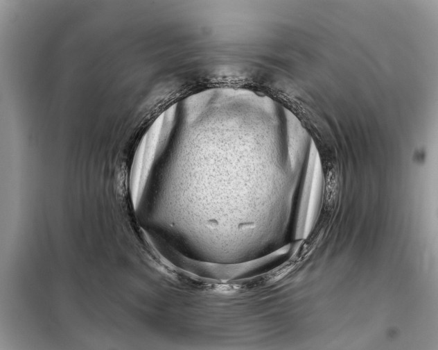 X0000098200474200805081115