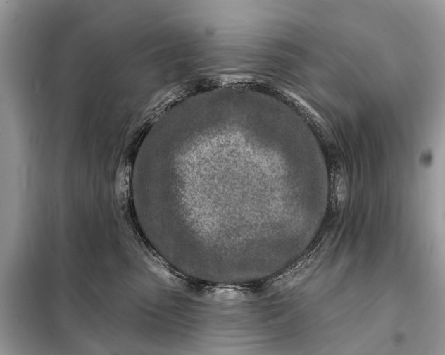 X0000098200475200805081115