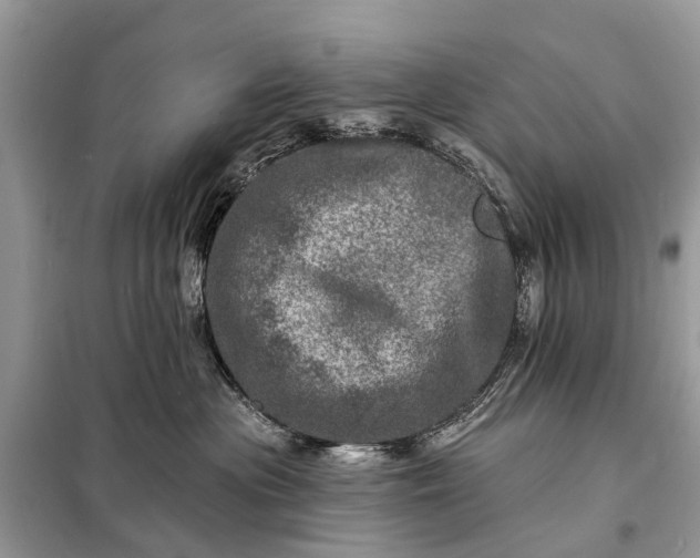 X0000098200477200805081115