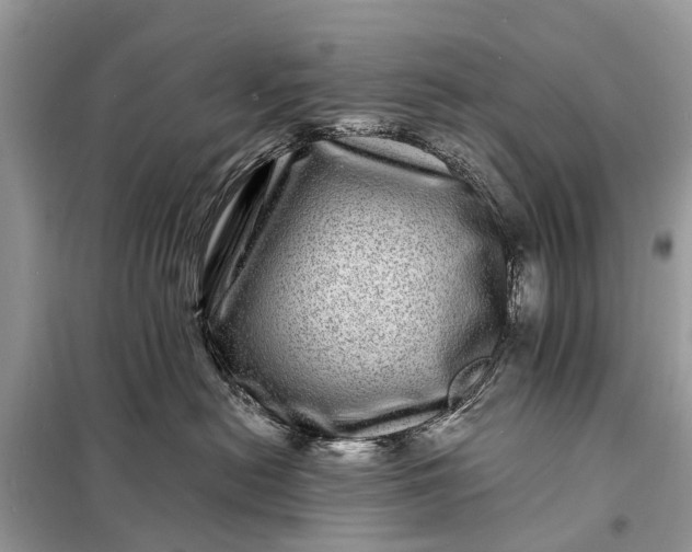 X0000098200478200805081115