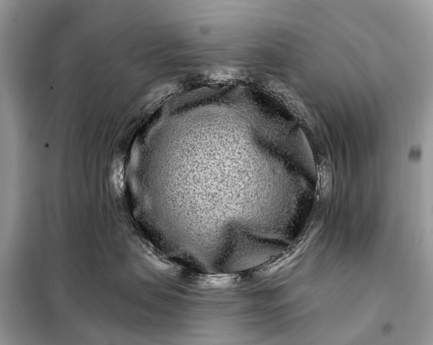 X0000098200479200805081116