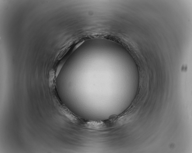 X0000098200480200805081116