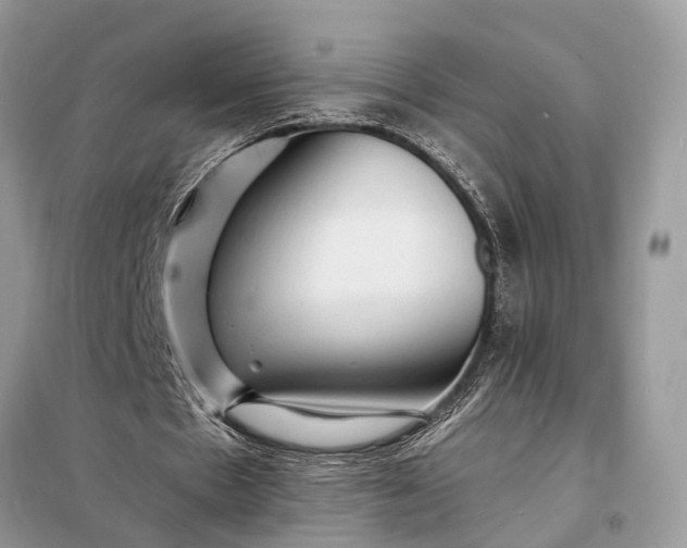 X0000098200481200805081115
