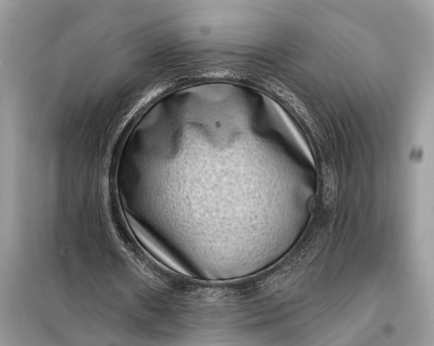 X0000098200482200805081115