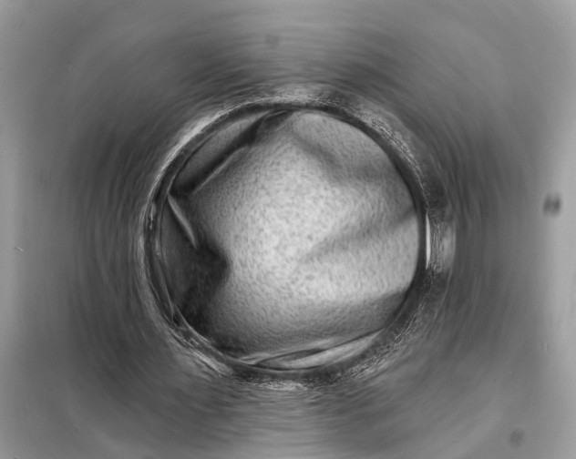 X0000098200483200805081115