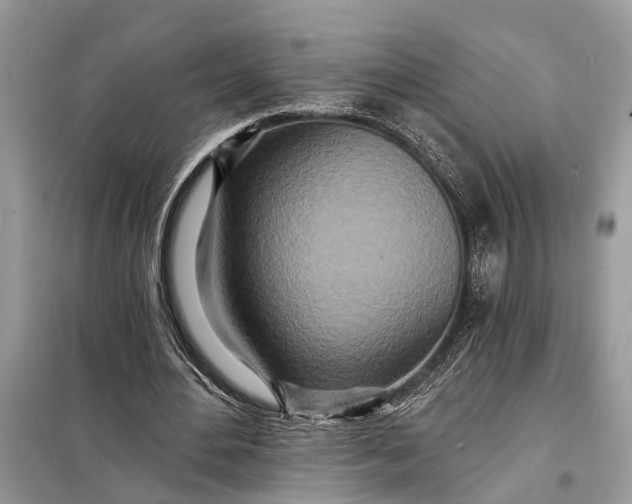 X0000098200484200805081115