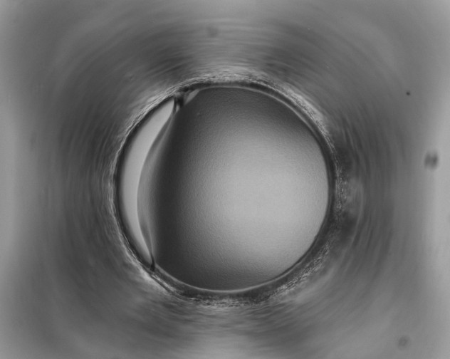 X0000098200485200805081115