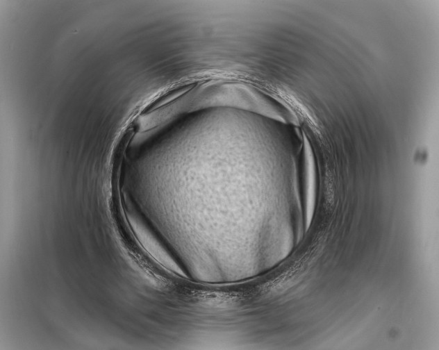 X0000098200486200805081115