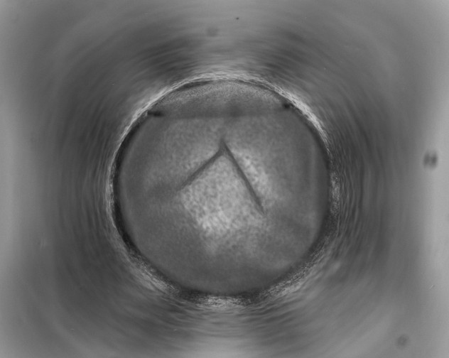 X0000098200487200805081115
