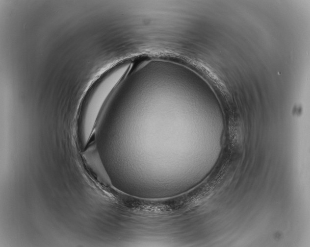 X0000098200488200805081115