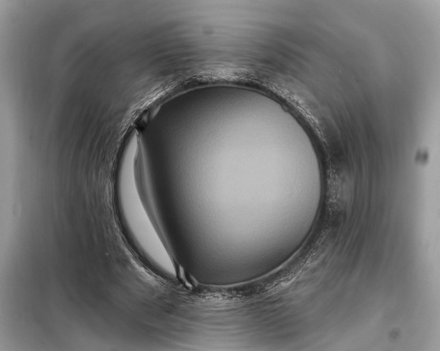 X0000098200489200805081115