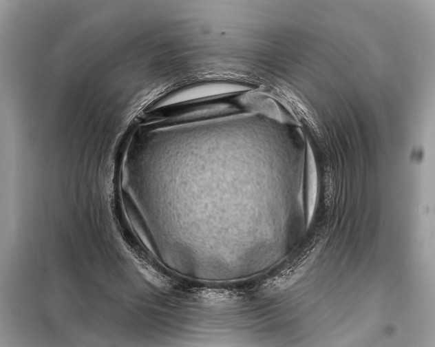 X0000098200490200805081115