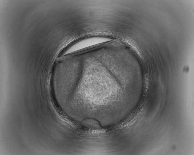 X0000098200491200805081115