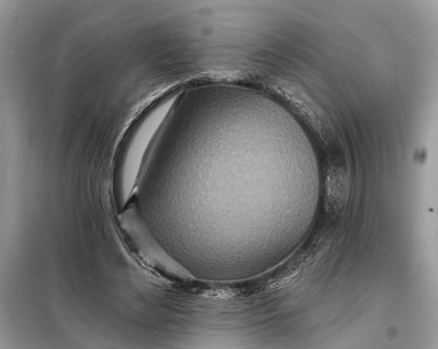 X0000098200492200805081115