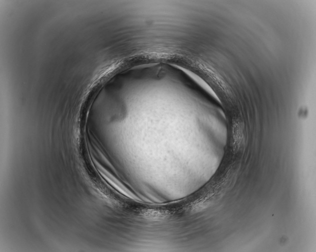 X0000098200494200805081115