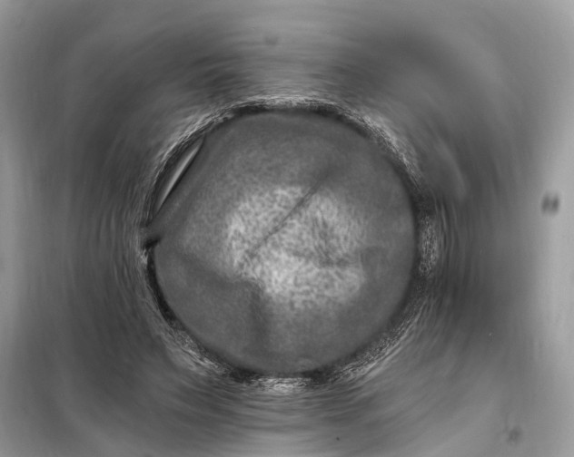 X0000098200495200805081115