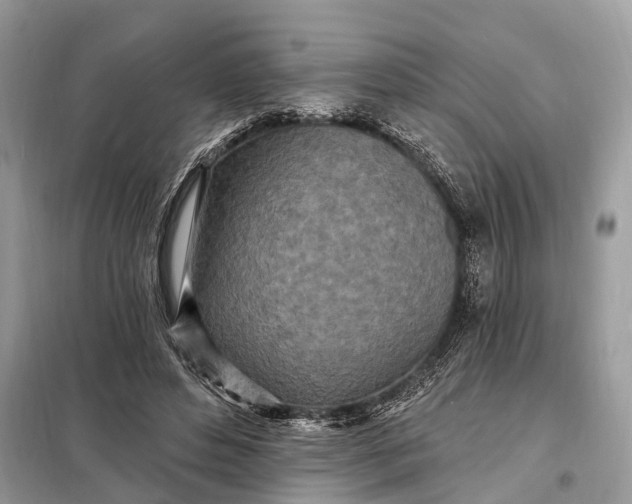 X0000098200496200805081115