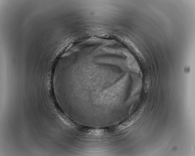 X0000098200497200805081115