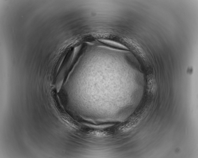 X0000098200498200805081115