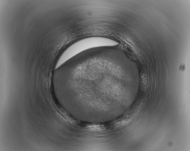 X0000098200499200805081115