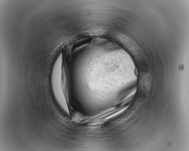 X0000098200501200805081115