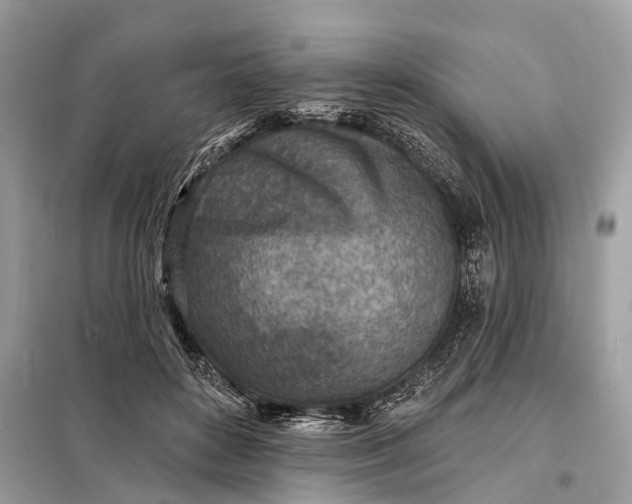 X0000098200504200805081114